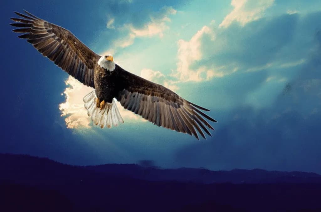Despierta AL ÁGUILA dormida...EN 21 DÍAS.