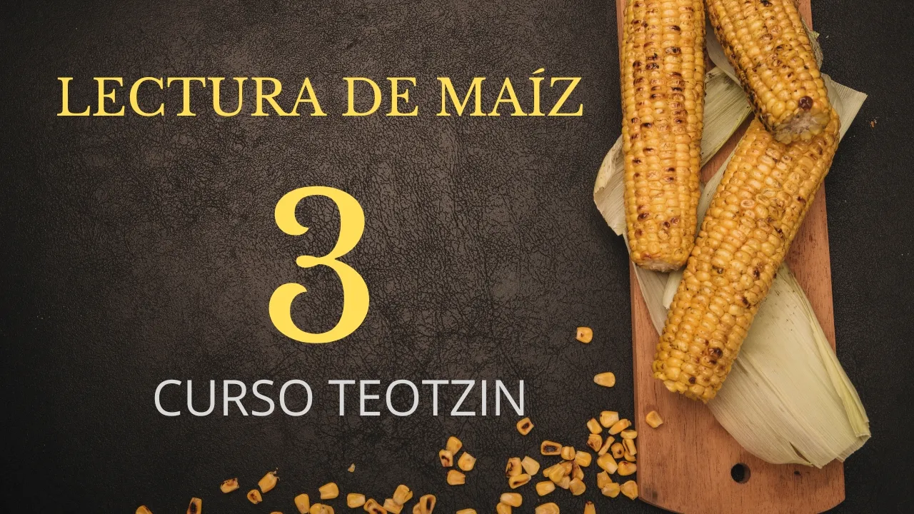 Lección 3